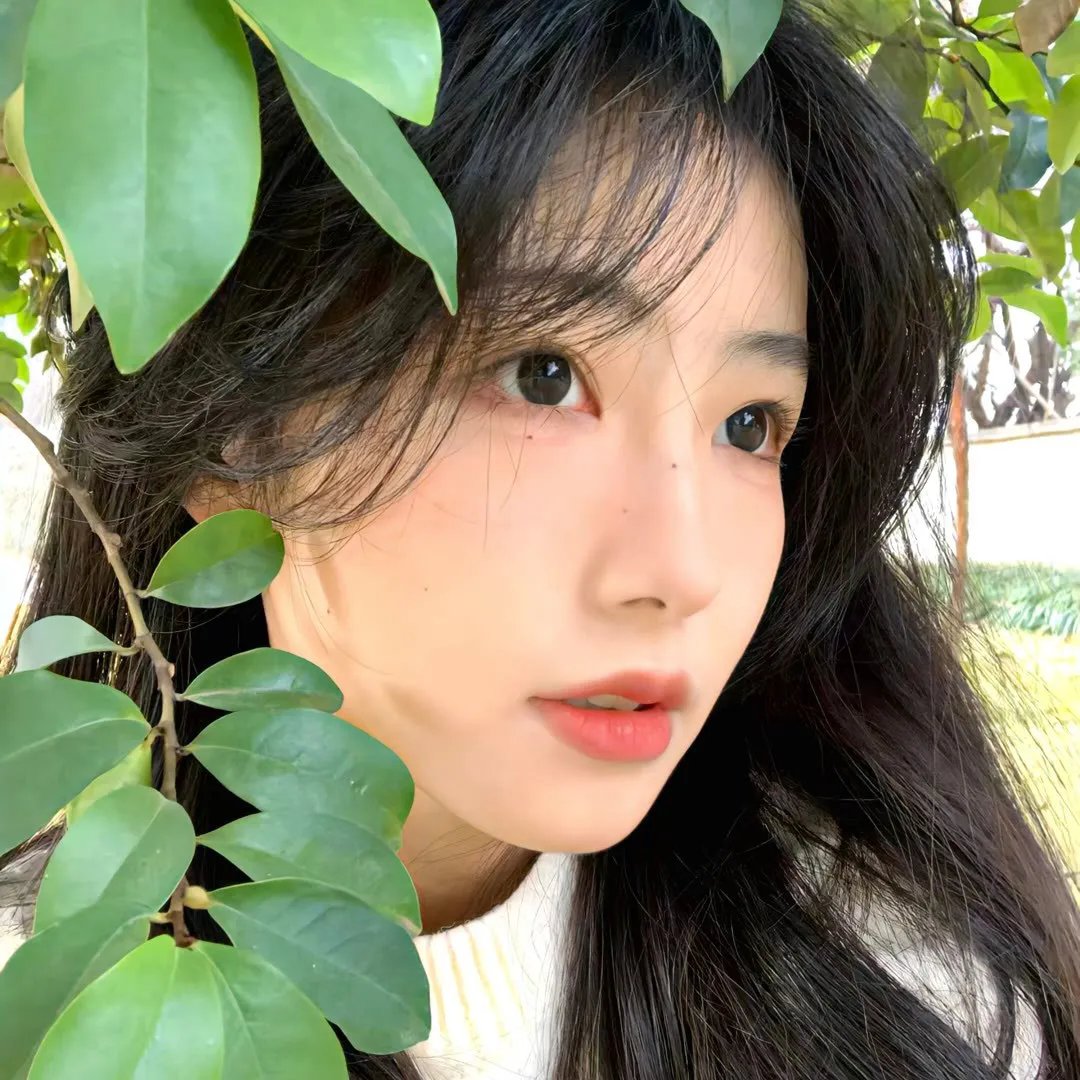 孔雀王子